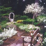 aardweg-landscaping-perennial-garden-main-line-philadelphia-PA