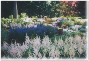 Perennial Garden Design  by Aardweg Landscaping, Philadelphia, PA