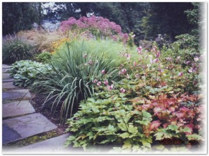 perennial-garden-aardweg-landscaping-swarthmore-kennett-square-PA