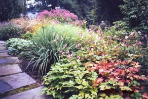 Perennial-garden-aardweg-landscaping-Main-Line-Pennsylvania