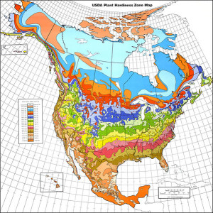 601px-USDA_Hardiness_zone_map