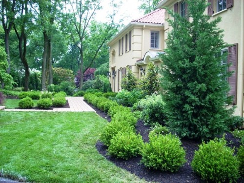 Gorgeous gardens designed and installed by Aardweg Landscaping invite visitors to this attractive Main Line residence