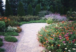 Aardweg-Landscaping-Perennials-Philadelphia-Garden-1