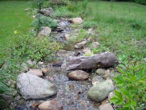 Ponds and Water Features for Residential Main Line Gardens 2