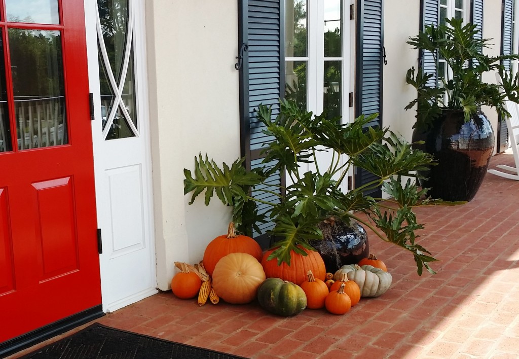 Aardweg Landscaping Main Line holiday decor with plants and pumpkins