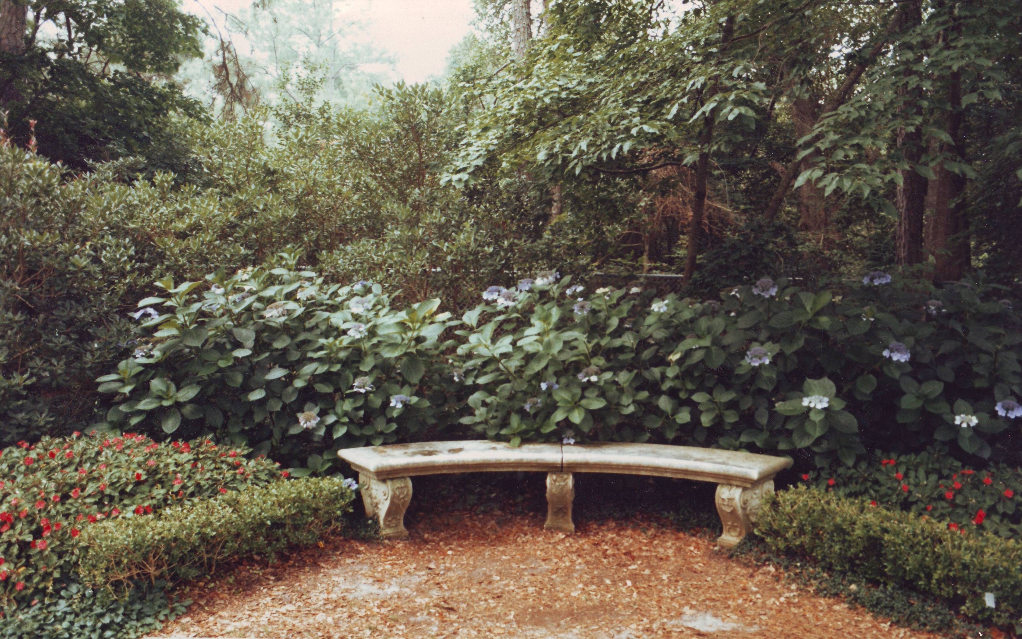 Formal garden in Devon