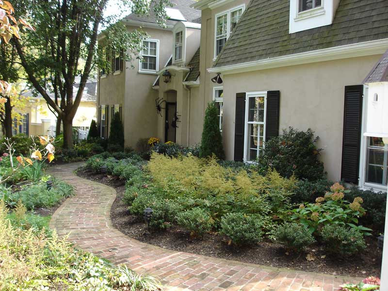 Garden with evergreen shrubs and perennials in Frazer